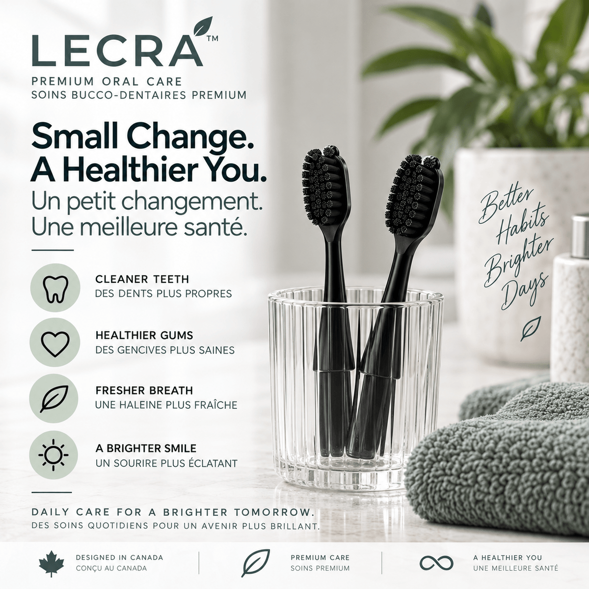 Manual Toothbrush Replacement Heads, 2-Pack, Black, Replaceable Brush Heads for Daily Oral Care - LECRA