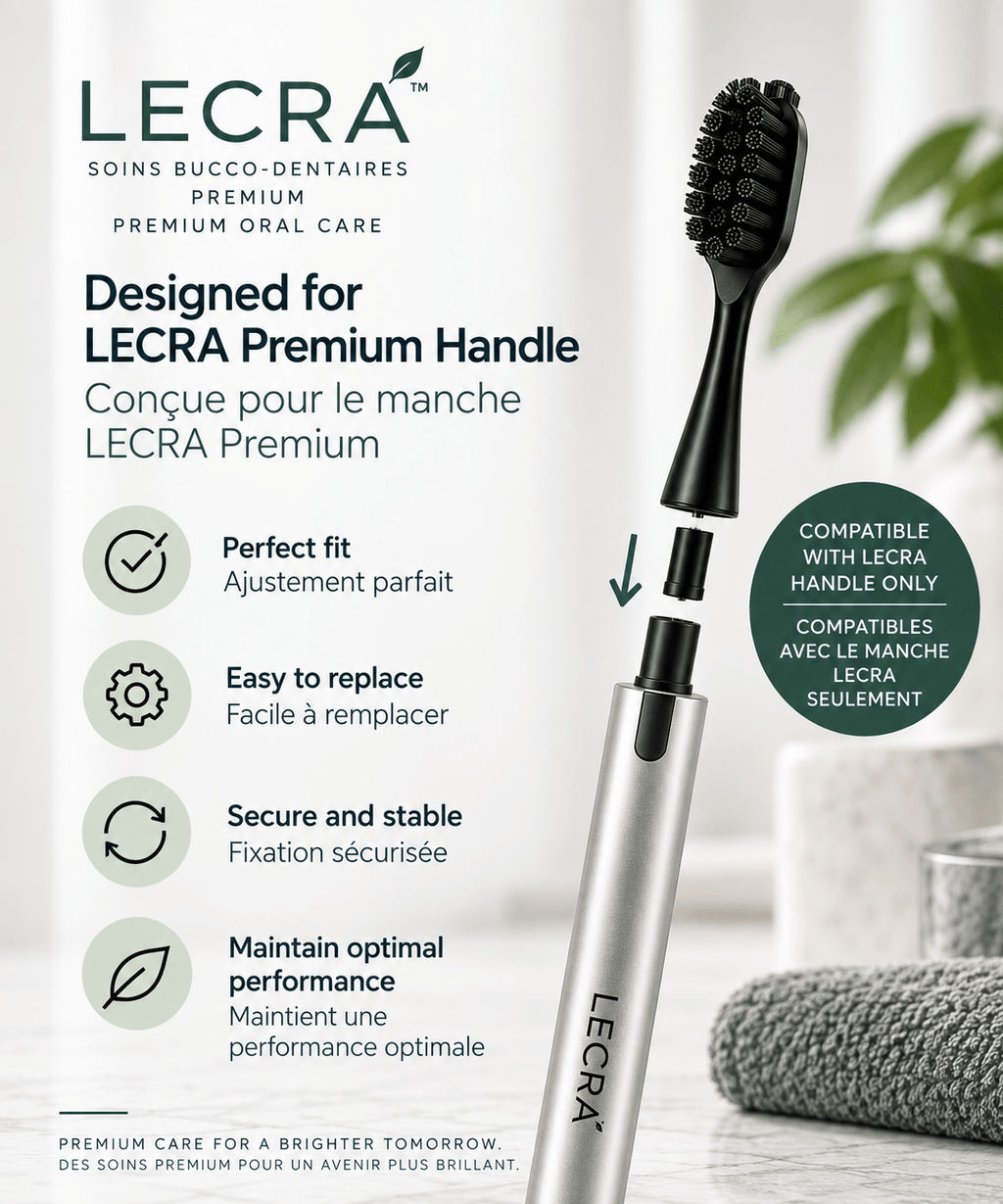 Reusable Manual Toothbrush with Replaceable Head, Daily Oral Care Toothbrush - LECRA